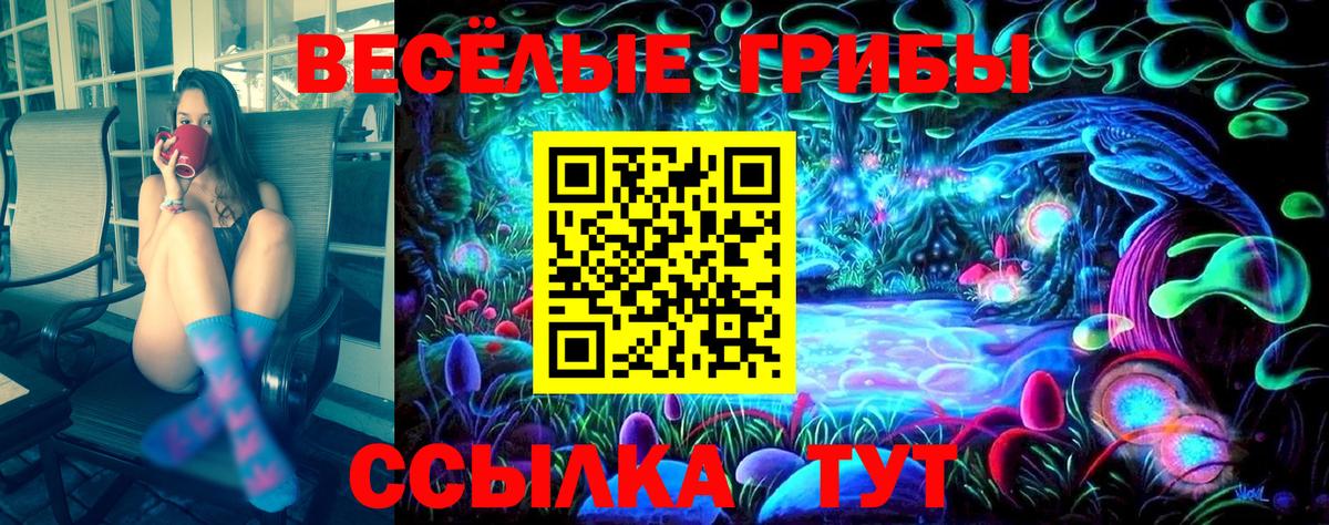 Псилоцибиновые грибы Psilocybine cubensis Усть-Илимск