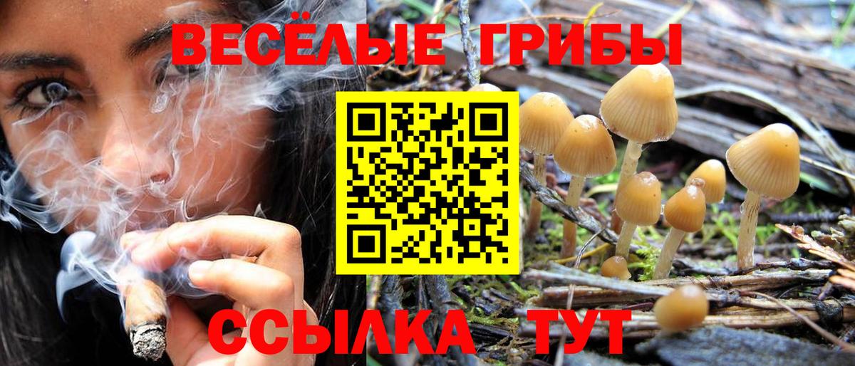 Псилоцибиновые грибы ЛСД  Псилоцибиновые грибы мицелий  Вход с VPN  Усть-Илимск 